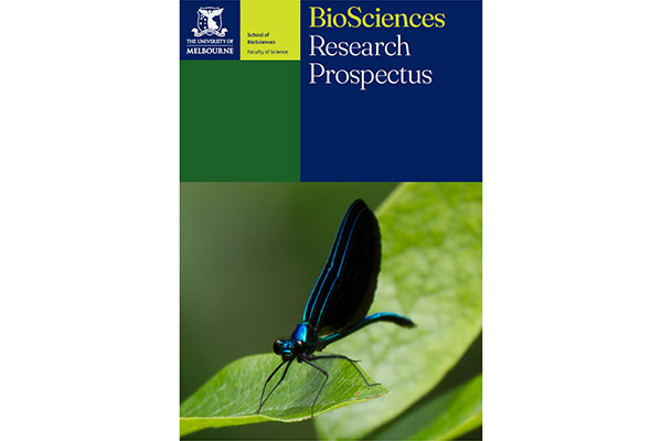 Cover of prospectus document with image of blue insect on leaf