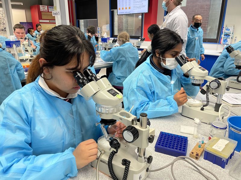 Students using microscopes during a VCE Biology workshop