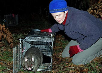 Jen with a possum