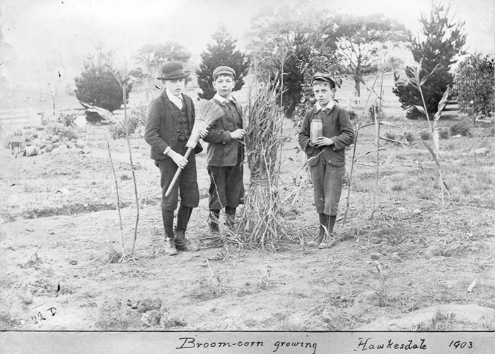 Children with Brooms made from corn harvested from Hawkesdale School