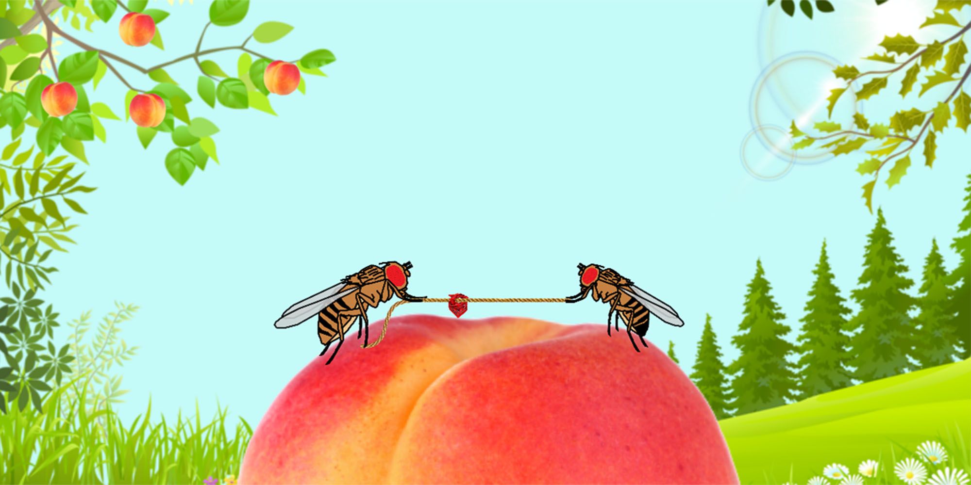 Illustration of two insects playing tug-of-war on a peach against a background of sky, trees and plants in the background.