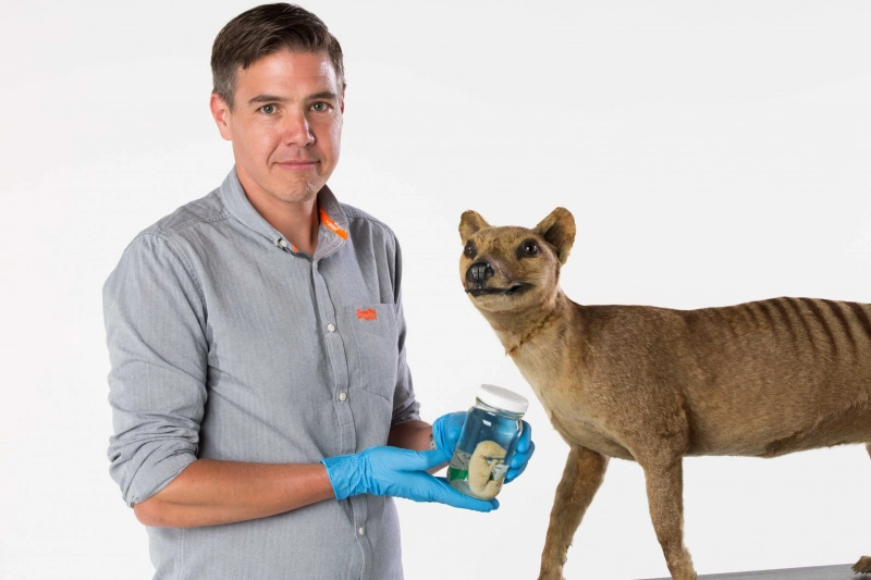 Andrew Pask standing next to a stuffed thylacine, holding a specimen in a bottle.