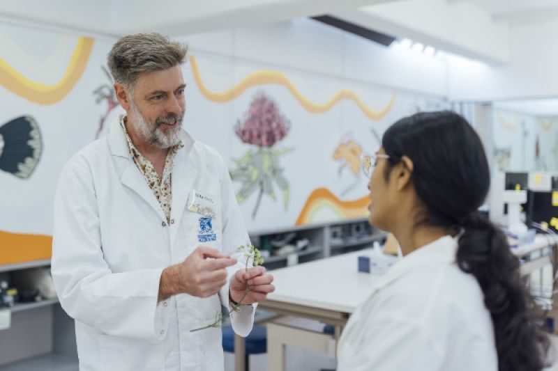 Lecturer holds a piece of a plant while talking to a student in a lab classroom.