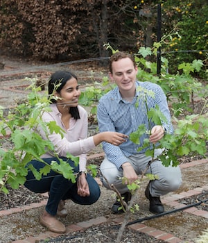Two students examining a plant in an outside garden