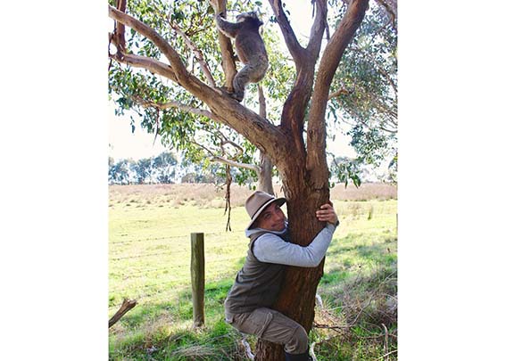David playing koala